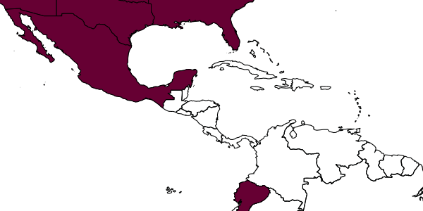 map of Pintoa nearctica     Viggiani, 1988